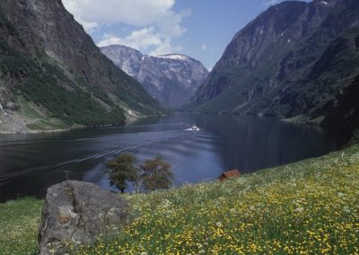 Fiordo de Nærøy en Primavera