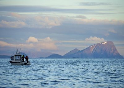 Pescando el Mejor Salmón Noruego