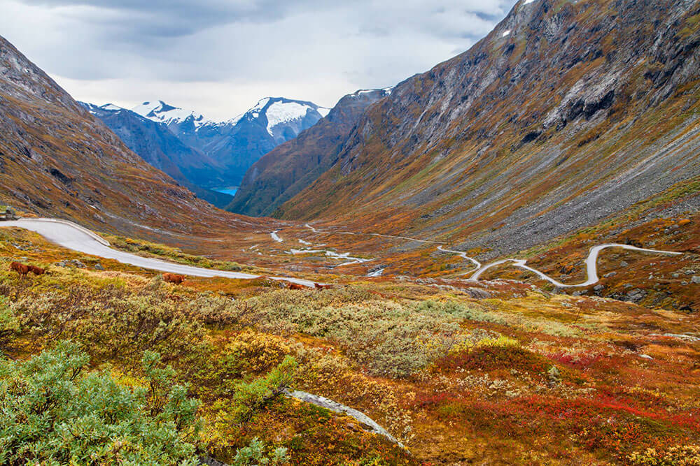 Rutas panorámicas de Noruega 2