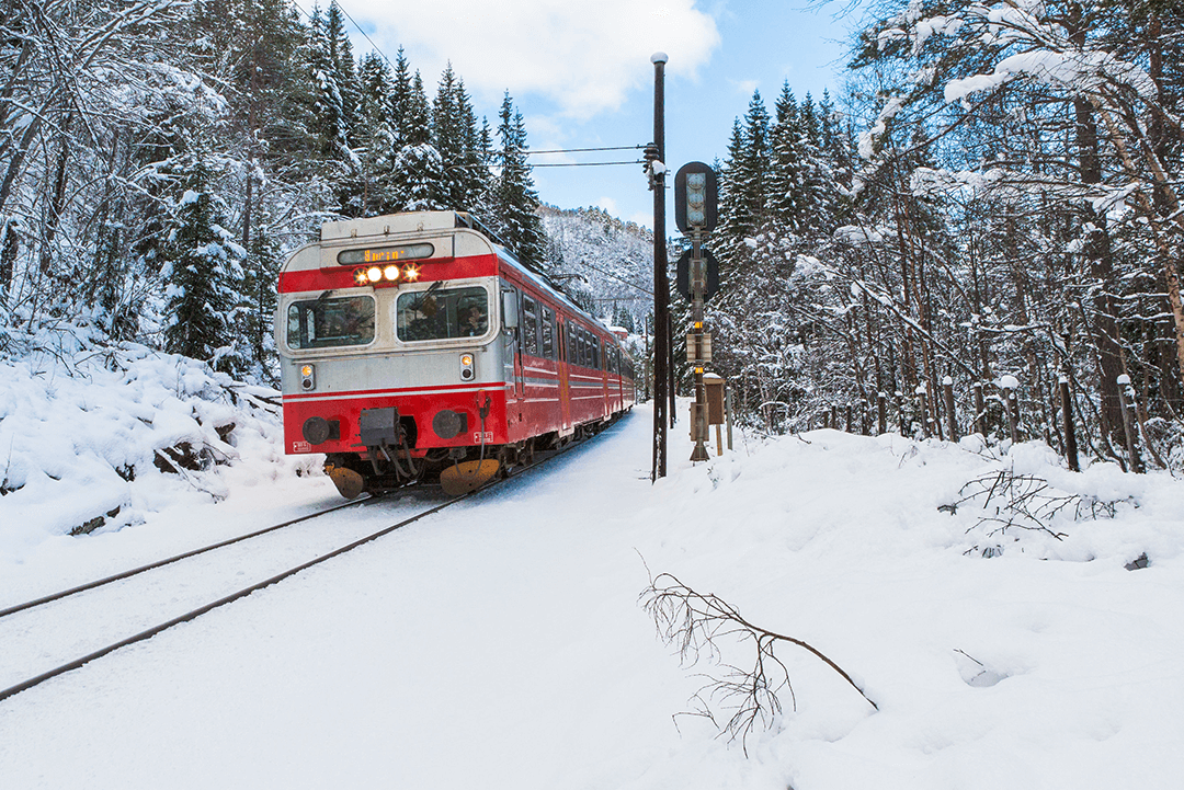 tren-noruega