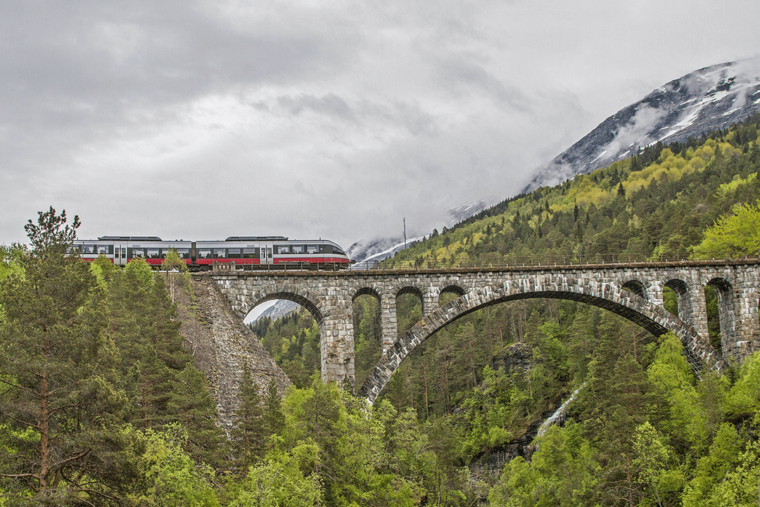 tren-noruega