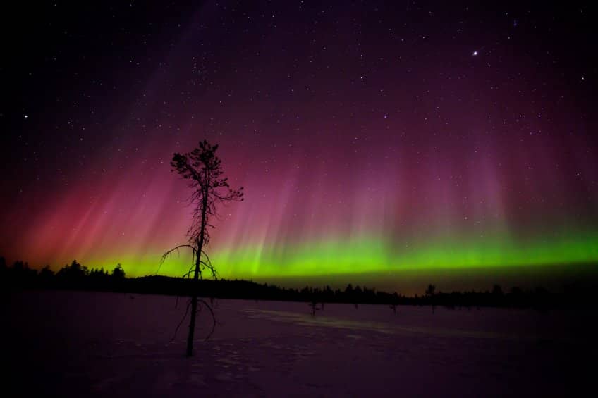 como fotografiar auroras boreales