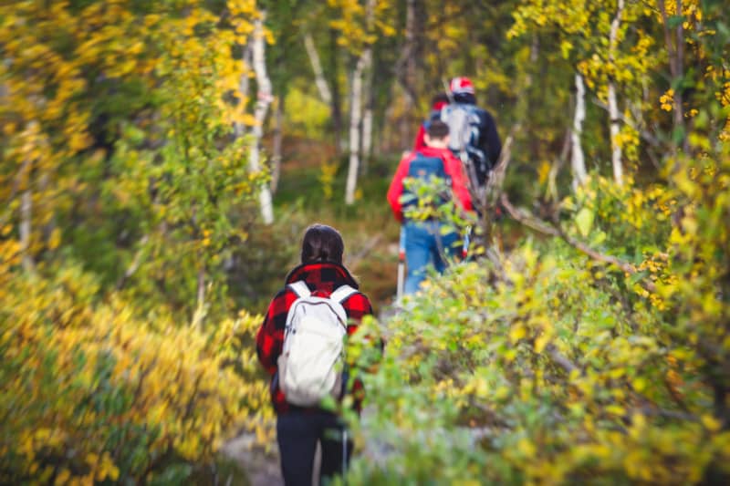 Parque Nacional de Abisko