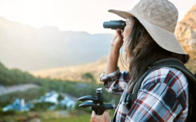 Noruega: Un paraíso para el avistamiento de aves en Europa