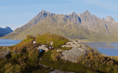 Islas Vesterålen o Lofoten: ¿Cuál elegir para ver ballenas y evitar masas?