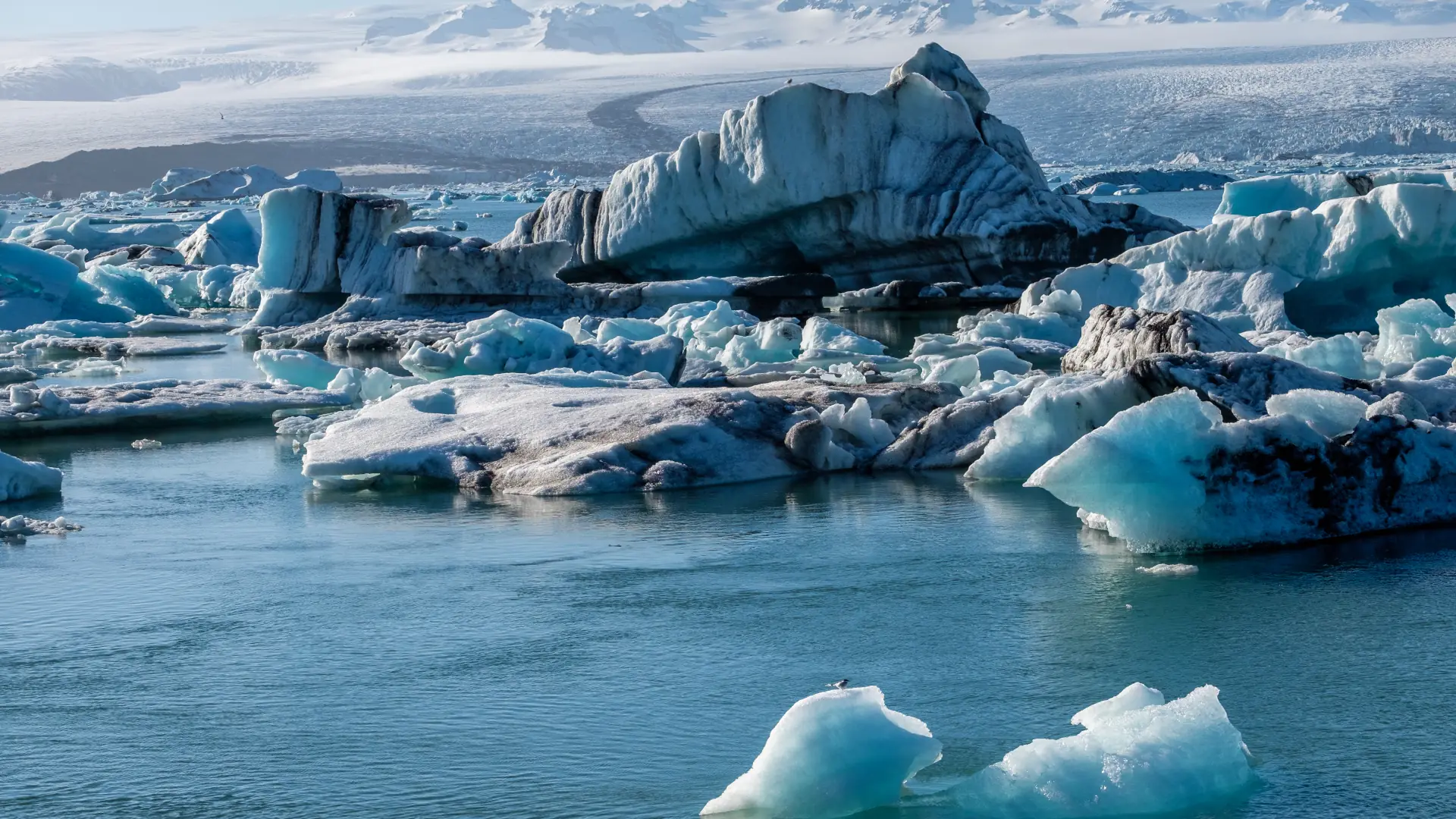 islandia-boreal islandia boreal