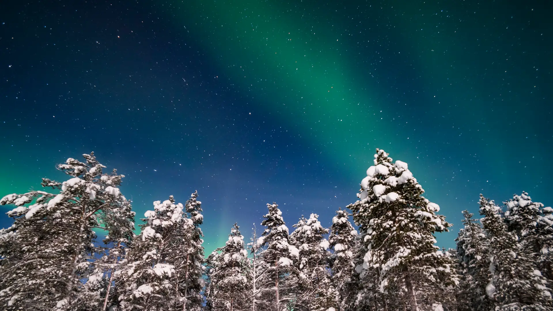 auroras de este a oeste